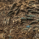 Illustration for article titled Farmer Discovers Priceless Trove of Ancient Roman Coins While Removing a Molehill